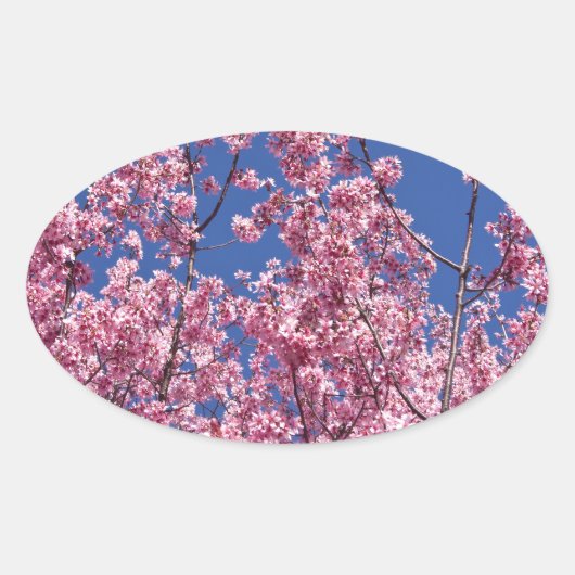 Sakura Kirschblüten im Blauen Ovaler Aufkleber (Vorderseite)