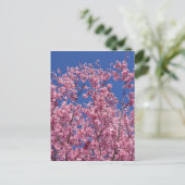 Sakura Kirschblüten im Blauen Postkarte (Stehend Vorderseite)