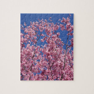 Sakura Kirschblüten im Blauen Puzzle