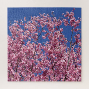 Sakura Kirschblüten im Blauen Puzzle