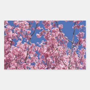 Sakura Kirschblüten im Blauen Rechteckiger Aufkleber