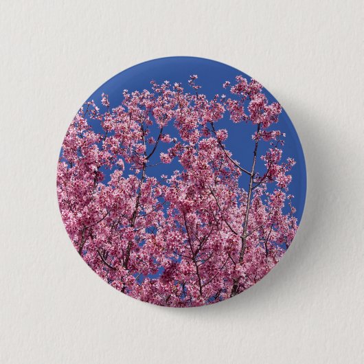 Sakura Kirschblüten in das Blau Button (Vorderseite)