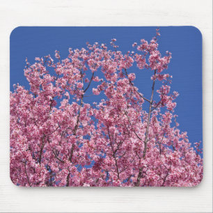 Sakura Kirschblüten in das Blau Mousepad