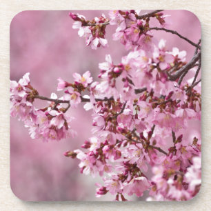 Sakura Kirschblüten Pastellrosa Schichten Getränkeuntersetzer