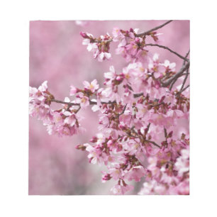 Sakura Kirschblüten Pastellrosa Schichten Notizblock