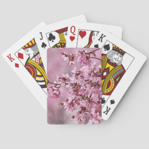 Sakura Kirschblüten Pastellrosa Schichten Spielkarten