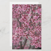 Sakura Kirschblüten pink Briefpapier (Vorne/Hinten)