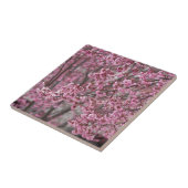 Sakura Kirschblüten pink Fliese (Seite)