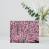 Sakura Kirschblüten pink Postkarte (Stehend Vorderseite)
