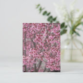 Sakura Kirschblüten pink Postkarte (Stehend Vorderseite)