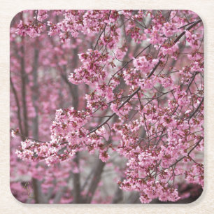 Sakura Kirschblüten pink Rechteckiger Pappuntersetzer