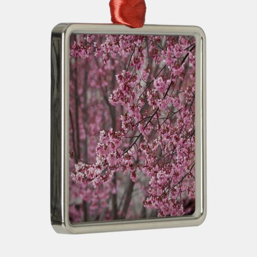 Sakura Kirschblüten pink Silbernes Ornament (Rechts)