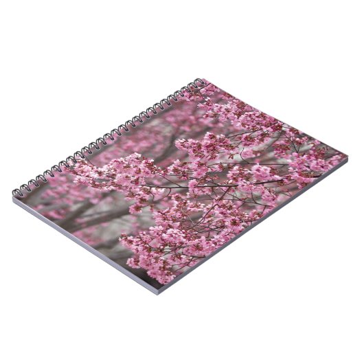 Sakura Kirschblüten rosa Notizblock (Linke Seite)