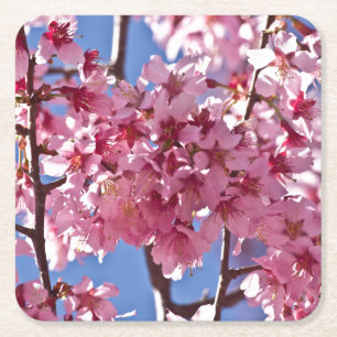 Sakura Kirschblüten Rote Sterne Rechteckiger Pappuntersetzer