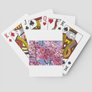 Sakura Kirschblüten Rote Sterne Spielkarten