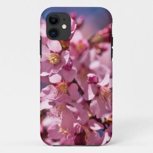 Sakura Kirschblüten von Sonnenlicht geküsst iPhone 11 Hülle