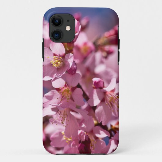 Sakura Kirschblüten von Sonnenlicht geküsst Case-Mate iPhone Hülle (Rückseite)