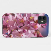 Sakura Kirschblüten von Sonnenlicht geküsst Case-Mate iPhone Hülle (Rückseite (Horizontal))