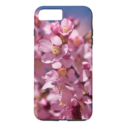 Sakura Kirschblüten von Sonnenlicht geküsst Case-Mate iPhone Hülle (Rückseite)