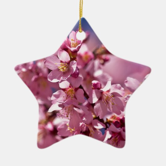 Sakura Kirschblüten von Sonnenlicht geküsst Keramik Ornament (Vorne)