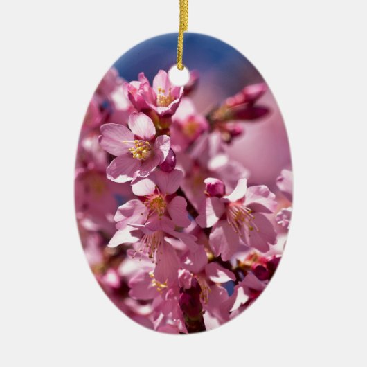 Sakura Kirschblüten von Sonnenlicht geküsst Keramikornament (Vorne)