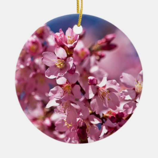 Sakura Kirschblüten von Sonnenlicht geküsst Keramikornament (Vorne)