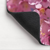 Sakura Kirschblüten von Sonnenlicht geküsst Mousepad (Ecke)