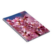 Sakura Kirschblüten von Sonnenlicht geküsst Notizblock (Rechte Seite)