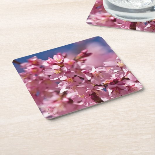 Sakura Kirschblüten von Sonnenlicht geküsst Rechteckiger Pappuntersetzer (angewinkelt)