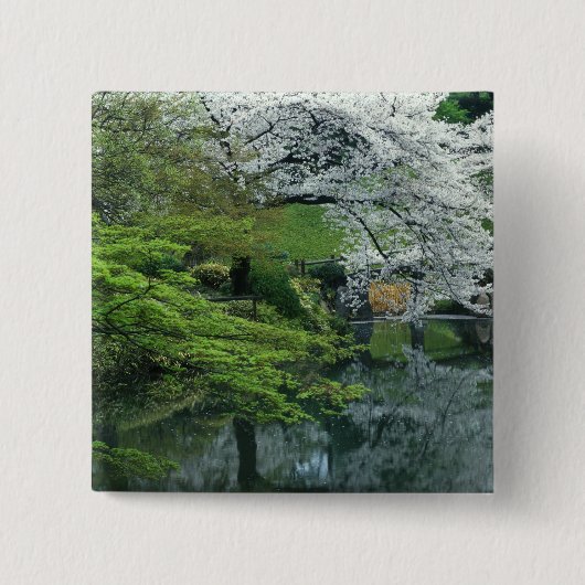 Sakura, Koishikawa Koraku-en Garden, Tokio Button (Vorderseite)