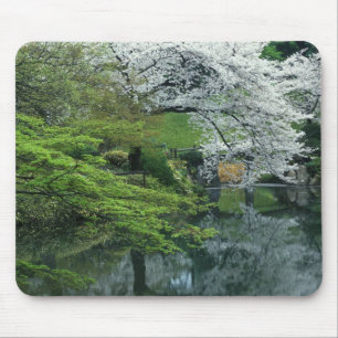Sakura, Koishikawa Koraku-en Garden, Tokio Mousepad