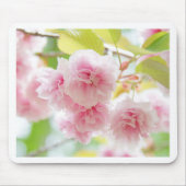 sakura mousepad (Vorne)