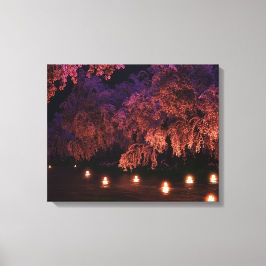 Sakura (Nacht) Leinwanddruck (Vorderseite)