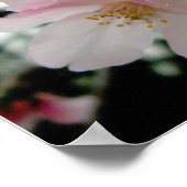 Sakura/Orientales Doppelglücksgeschenk Hochzeit Poster (Ecke)