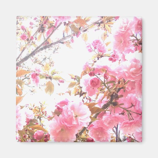 Sakura Pink Blume Cherry Blossom Blumenmuster Magnet (Vorne)