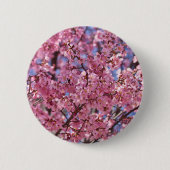 Sakura Pink Cherry Blossom Sky Button (Vorderseite)