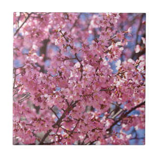 Sakura Pink Cherry Blossom Sky Fliese