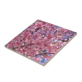 Sakura Pink Cherry Blossom Sky Fliese (Seite)