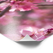 Sakura Pink Cherry Blossom Sky Fotodruck (Ecke)