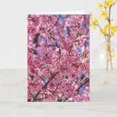 Sakura Pink Cherry Blossom Sky Karte (Gelbe Blume)