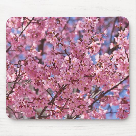 Sakura Pink Cherry Blossom Sky Mousepad (Vorne)