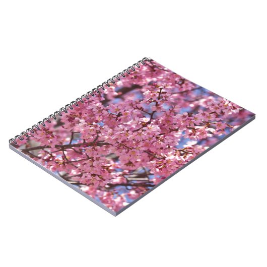 Sakura Pink Cherry Blossom Sky Notizblock (Linke Seite)