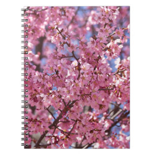 Sakura Pink Cherry Blossom Sky Notizblock