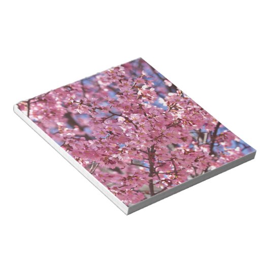 Sakura Pink Cherry Blossom Sky Notizblock (angewinkelt)