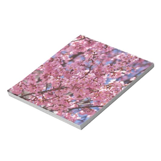 Sakura Pink Cherry Blossom Sky Notizblock (Rotiert)