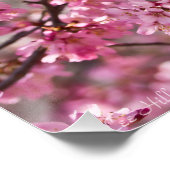 Sakura Pink Cherry Blossom Sky Poster (Ecke)