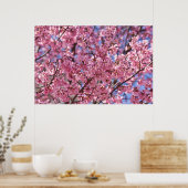 Sakura Pink Cherry Blossom Sky Poster (Küche)