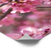 Sakura Pink Cherry Blossom Sky Poster (Ecke)