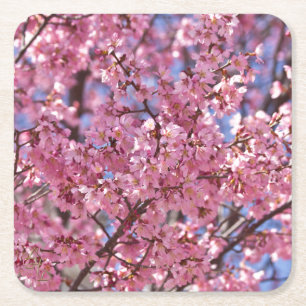 Sakura Pink Cherry Blossom Sky Rechteckiger Pappuntersetzer