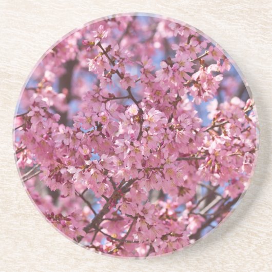 Sakura Pink Cherry Blossom Sky Untersetzer (Vorne)